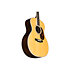 GP-35E Martin Guitars