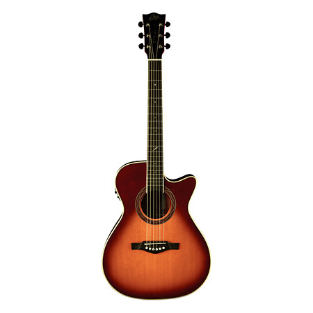 ONE 018CW Auditorium cutaway  Vintage Burst EKO