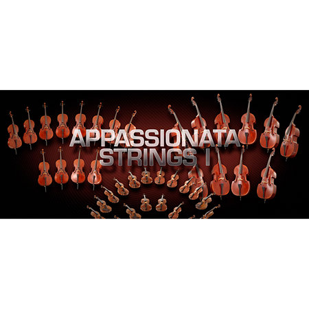 Appassionata Strings Bundle Full VSL