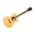 ONE 018CW Auditorium cutaway Natural EKO