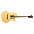 ONE 018CW Auditorium cutaway Natural EKO