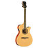 ONE 018CW Auditorium cutaway Natural EKO