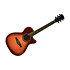 ONE 018CW Auditorium cutaway  Vintage Burst EKO