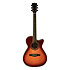 ONE 018CW Auditorium cutaway  Vintage Burst EKO
