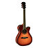 ONE 018CW Auditorium cutaway  Vintage Burst EKO