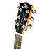 ONE 018CW Auditorium cutaway  Vintage Burst EKO