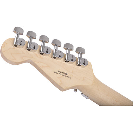 Pro-Mod DK24 HSS FR M MN Specific Ocean Charvel