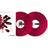 RB-VD2-CR Vinyles Rekordbox (paire) Pioneer DJ
