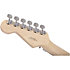 Pro-Mod DK24 HSS FR M MN Specific Ocean Charvel