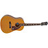 Inspired by 1964 Texan Epiphone