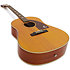 Inspired by 1964 Texan Epiphone