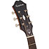 Inspired by 1964 Texan Epiphone