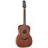 GY11ME-NS New Yorker Electro Natural Satin Takamine