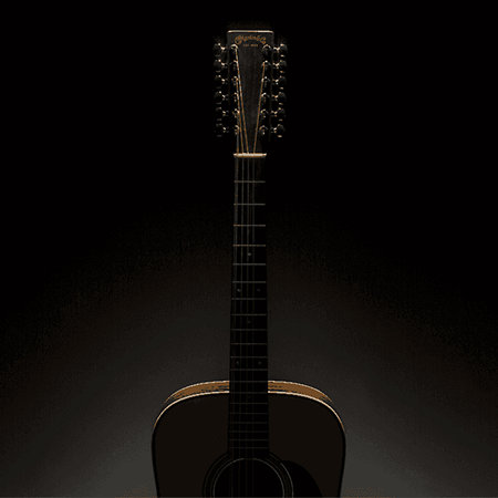 HD12-28 + étui Martin Guitars