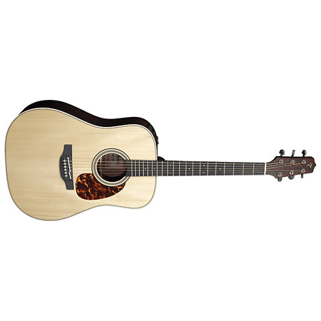 CP5DCO-AD Dreadnought Série Spécial + étui Takamine