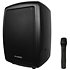 Safari 2000 sys 2 + micro main + cover Phonic