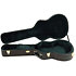 12C350 Martin Guitars
