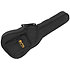 LX1RE Little Martin + Housse Martin Guitars
