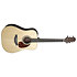 CP5DCO-AD Dreadnought Série Spécial + étui Takamine