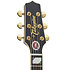 EF250TK Jumbo sunburst Signature Toby Keith + étui Takamine