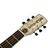 G9240 Alligator Round-Neck Resonator Guitar 2-Color Sunburst Gretsch Guitars