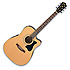 V70CE NT Ibanez