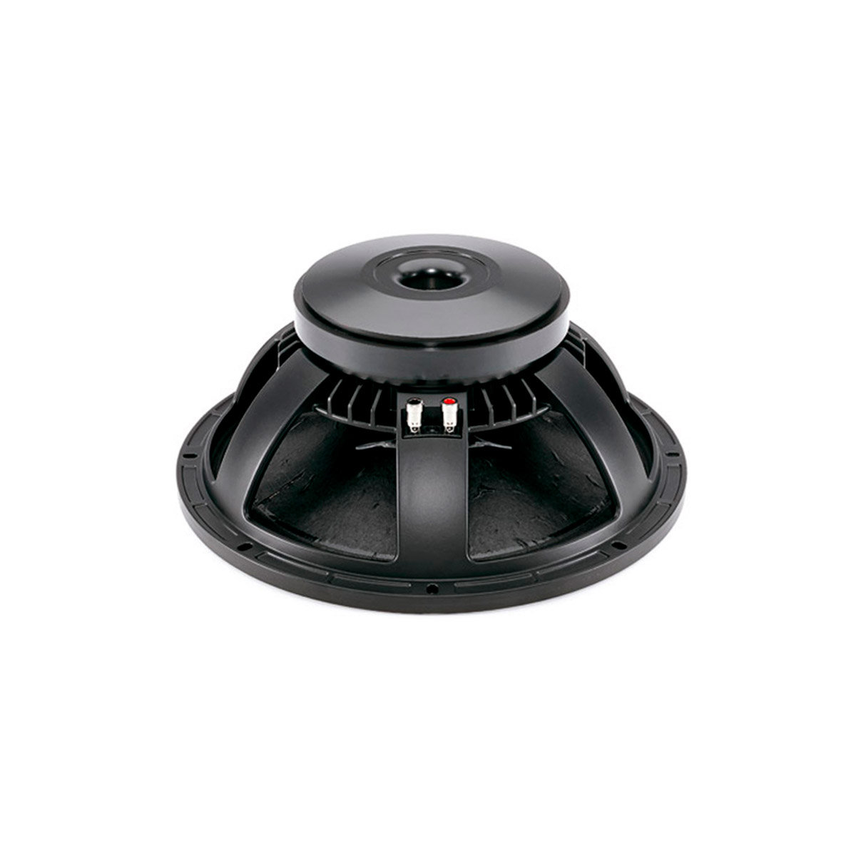 B&C Speakers 15 PS 100 - Haut-parleur SonoVente.com