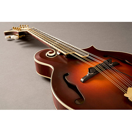 PRO-M30-0MA Mandoline Nashville Fishman