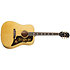 Frontier USA Antique Natural Epiphone