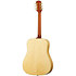 Frontier USA Antique Natural Epiphone