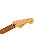Player Series Stratocaster Neck PF Fender