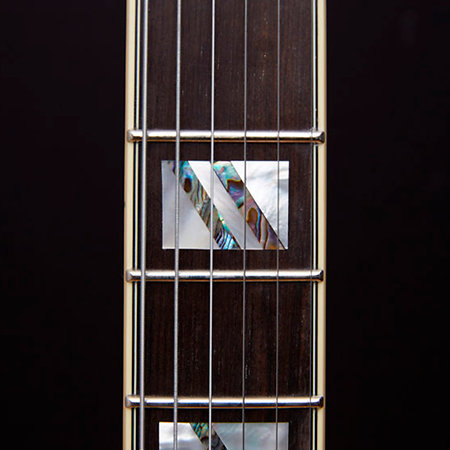 Excel DC Viola + étui D'Angelico