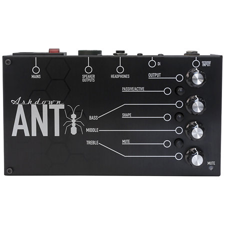 The Ant 200W mini Bass Amp Ashdown