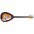 VBW-3500 Bill Wyman Sun Burst + Etui Vox