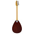 VBW-3500 Bill Wyman Sun Burst + Etui Vox
