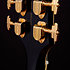 Excel DC Viola + étui D'Angelico