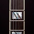 Excel DC Viola + étui D'Angelico