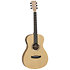 Discovery DBT PE HR Tanglewood