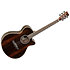 Discovery DBT SFCE AEB CN Tanglewood