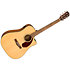 CD-140SCE Dreadnought WN Natural + Etui Fender