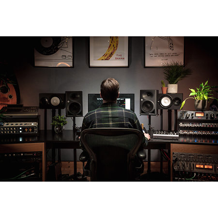 iD44 MKII Audient