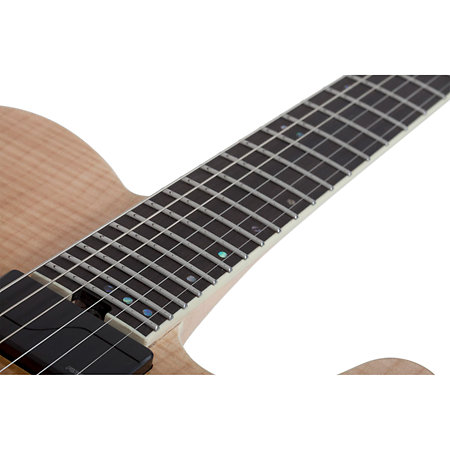 PT SLS ELITE - Antique Fade Burst Schecter