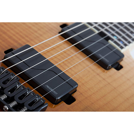 PT SLS ELITE - Antique Fade Burst Schecter