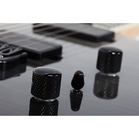 PT SLS ELITE - Black Fade Burst Schecter