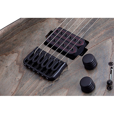 Apocalypse C-1 chevalet fixe - Rust Grey Schecter