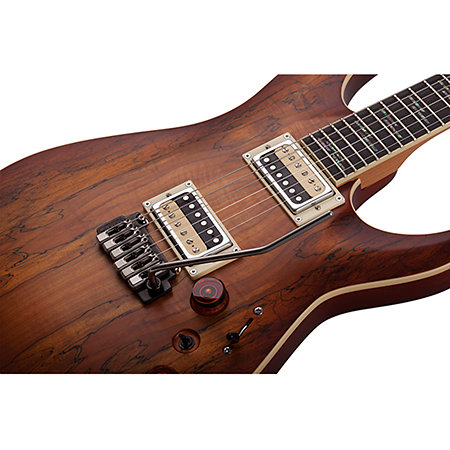 C-1 Exotic Spalted Maple Schecter