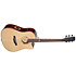 ELI-DCE JN Guitars