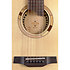 ELI-DCE JN Guitars