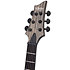 Apocalypse C-1 chevalet fixe - Rust Grey Schecter