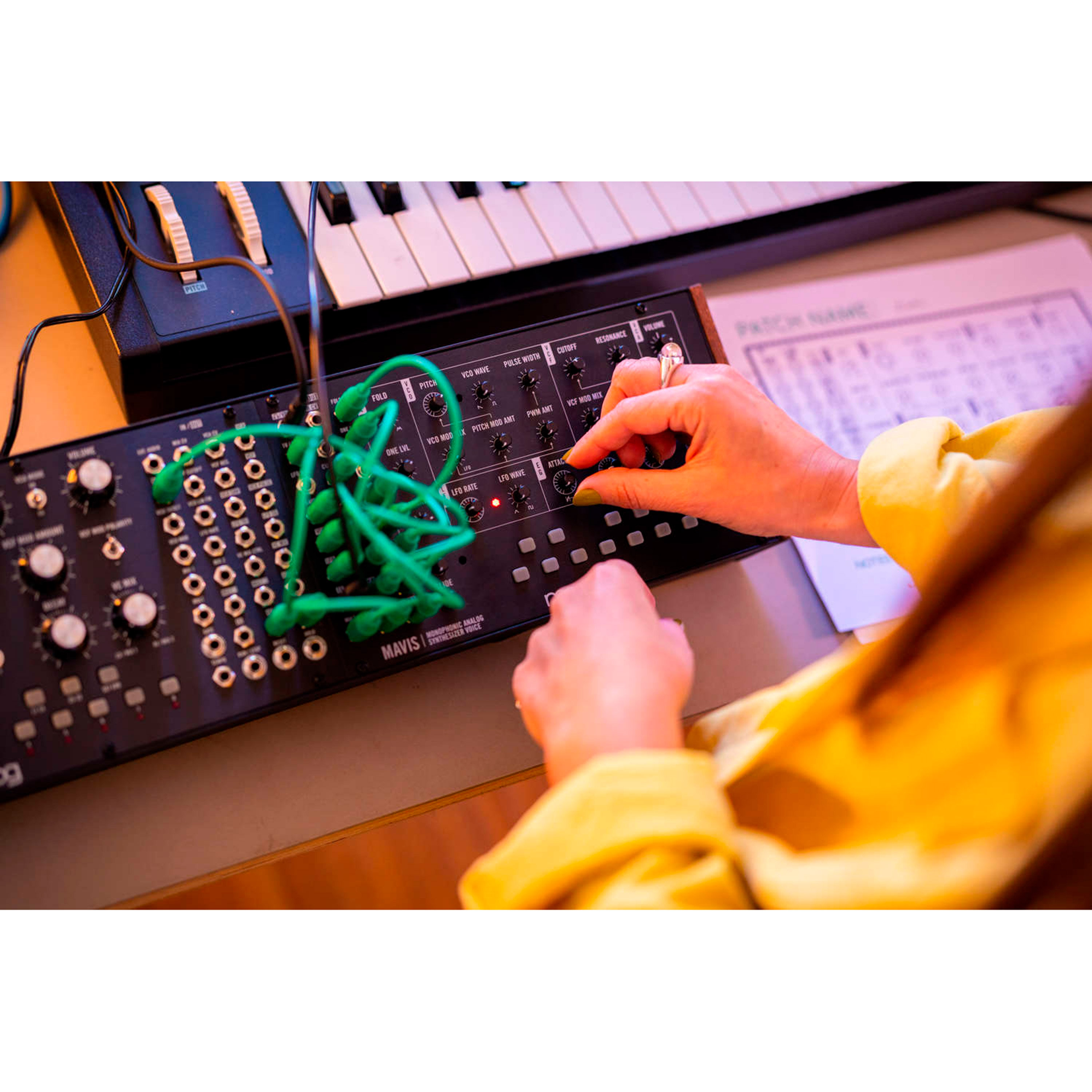 Mavis Rack Moog Mavis - Rack synthétiseur SonoVente.com